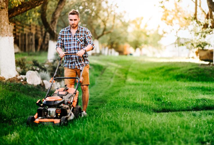 s-thumbnail of Your Next Lawn Mower Should Match Your Needs